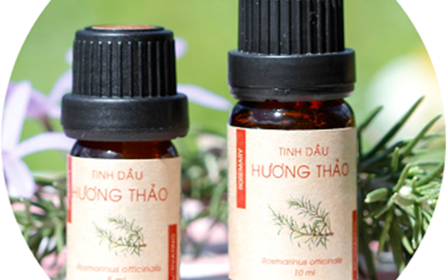9 loại tinh dầu thực vật phổ biến bạn cần biết!